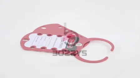 Combinación de etiquetas y hebillas Bozzys, cerrojo de bloqueo con 9 orificios para cerraduras